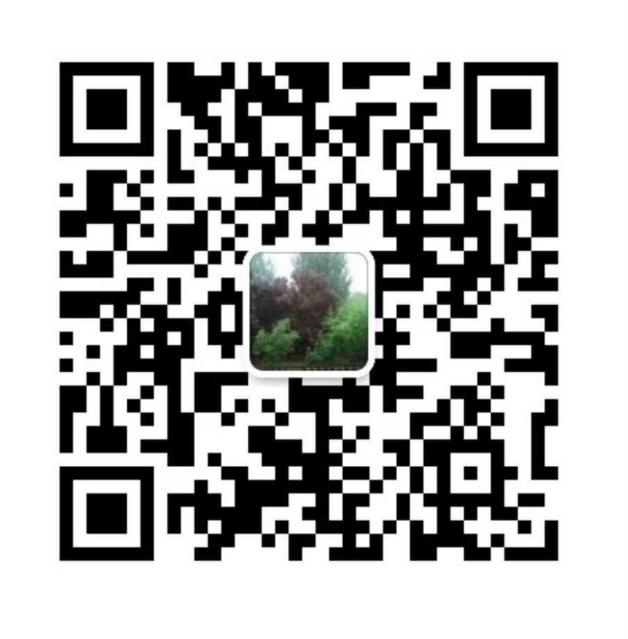 公(gōng)衆号二維碼